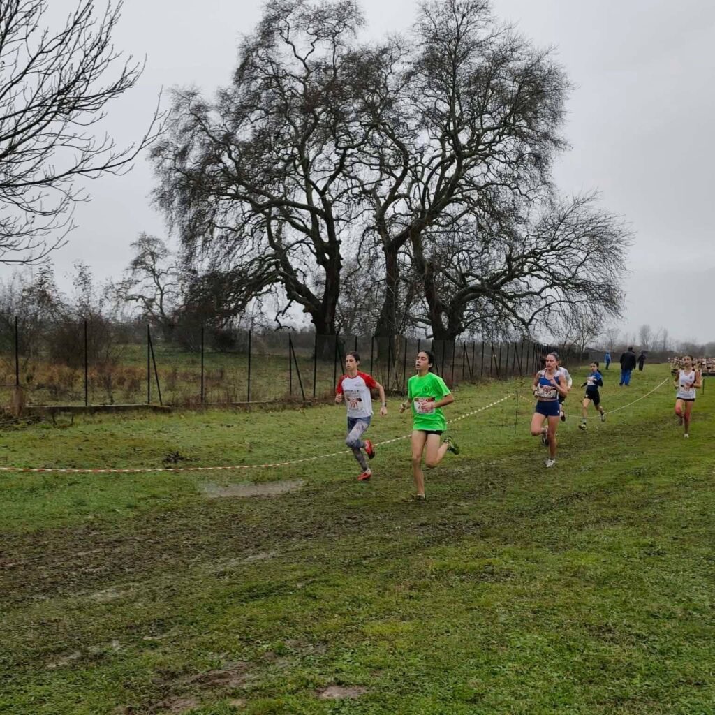 Πανελλήνιο πρωτάθλημα Δρόμου σε Ανώμαλο Έδαφος.